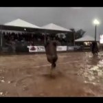 Horse drop GIF Template