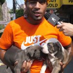 you see these dogs outside