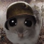 Sad war hampter