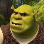 Confused Shrek