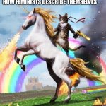 Welcome To The Internets Meme | HOW FEMINISTS DESCRIBE THEMSELVES | image tagged in memes,welcome to the internets | made w/ Imgflip meme maker