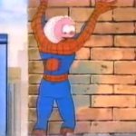 spider pussy