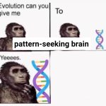 Evolution can you give me pattern seeking brain