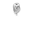 phil