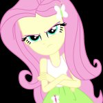 Angry Fluttershy