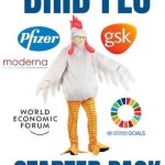 Bird Flu Bill Gates