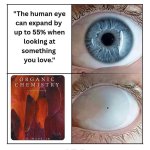The Human Eye Can