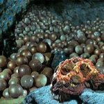 Horta with eggs