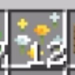 Wildflowers