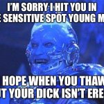 Mr Freeze | I’M SORRY I HIT YOU IN THE SENSITIVE SPOT YOUNG MAN; I HOPE WHEN YOU THAW OUT YOUR DICK ISN’T ERECT | image tagged in mr freeze | made w/ Imgflip meme maker