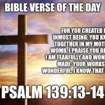 Happy mother's day | BIBLE VERSE OF THE DAY; FOR YOU CREATED MY INMOST BEING; YOU KNIT ME TOGETHER IN MY MOTHER'S WOMB. I PRAISE YOU BECAUSE I AM FEARFULLY AND WONDERFULLY MADE; YOUR WORKS ARE WONDERFUL, I KNOW THAT FULL WELL. PSALM 139:13-14 | image tagged in bible verse of the day,mothers,mothers day,christianity | made w/ Imgflip meme maker