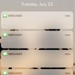 Notification