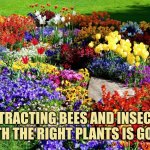 Attracting birds and insects with the right plants is good | ATTRACTING BEES AND INSECTS WITH THE RIGHT PLANTS IS GOOD | image tagged in flower garden,insects,butterflies | made w/ Imgflip meme maker