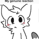 Boykisser reacts