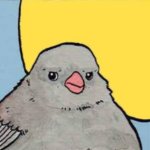 Annoyed Bird final panel