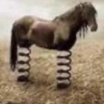 cavallo primavera