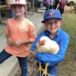 Holly Chicken
