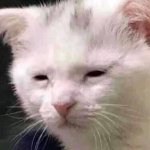 I'm tired