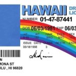 Hawaii driver license