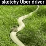 Frog gets a ride on a snake | Taking a ride with a 
sketchy Uber driver | image tagged in gifs,uber,driver,snake,frog | made w/ Imgflip video-to-gif maker