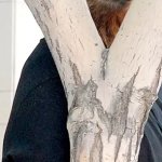 Inconspicuous Bear