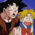 Goku and sailor moon socked