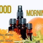 Good morning