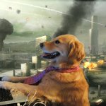 Dog typing with world burning