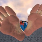 Roblox Feet