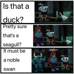 Name that bird meme