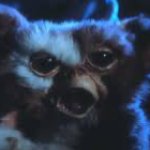 Cringing Gizmo