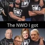 The NWO you wanted vs