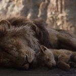 dead lions