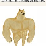 Doge buff | HOW I FEEL AFTER I WALK FOR FIVE STRAIGHT MILES | image tagged in doge buff | made w/ Imgflip meme maker