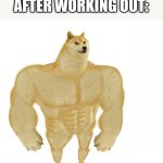 Doge buff | HOW I FEEL AFTER WORKING OUT: | image tagged in doge buff | made w/ Imgflip meme maker
