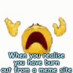 Why bro?? | When you realise you have burn out from a meme site | image tagged in gifs,why | made w/ Imgflip video-to-gif maker