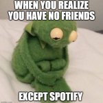 Sad Kermit | WHEN YOU REALIZE YOU HAVE NO FRIENDS; EXCEPT SPOTIFY | image tagged in sad kermit | made w/ Imgflip meme maker