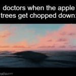 crap were cooked | image tagged in gifs,memes,funny,relatable | made w/ Imgflip video-to-gif maker