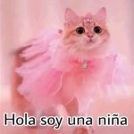 Hola soy una niña