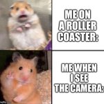 AHHHHHHHHHHHH- oh hi -AAAAAAAAAAAAHHHHHHHHHHHHH | ME ON A ROLLER COASTER:; ME WHEN I SEE THE CAMERA: | image tagged in scared hamster,roller coaster,funny,memes,relatable,oh wow are you actually reading these tags | made w/ Imgflip meme maker