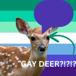 DeerlyGay's temp V1 meme