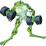 Gymfrog