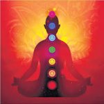 Lotus Chakras in red tones