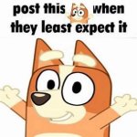 post this bingo heeler when they least expect it meme