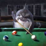 shark pool