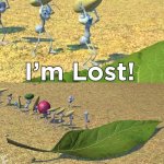 A bugs life I’m lost