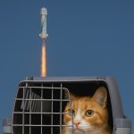 Astronaut Cat | IF RIDING TO “SPACE” MAKES YOU AN ASTRONAUT, GETTING THE CAT TO THE VET WITHOUT INJURY MEANS YOU AUTHORED “THE ART OF THE DEAL” | image tagged in astronaut cat | made w/ Imgflip meme maker