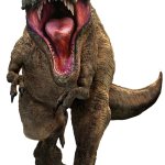 Rexy 29
