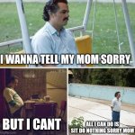 Sorry mom | I WANNA TELL MY MOM SORRY; ALL I CAN DO IS SIT DO NOTHING SORRY MOM; BUT I CANT | image tagged in memes,sad pablo escobar | made w/ Imgflip meme maker