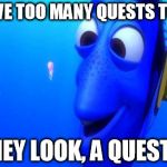 Dory | I HAVE TOO MANY QUESTS TO DO HEY LOOK, A QUEST! | image tagged in dory | made w/ Imgflip meme maker